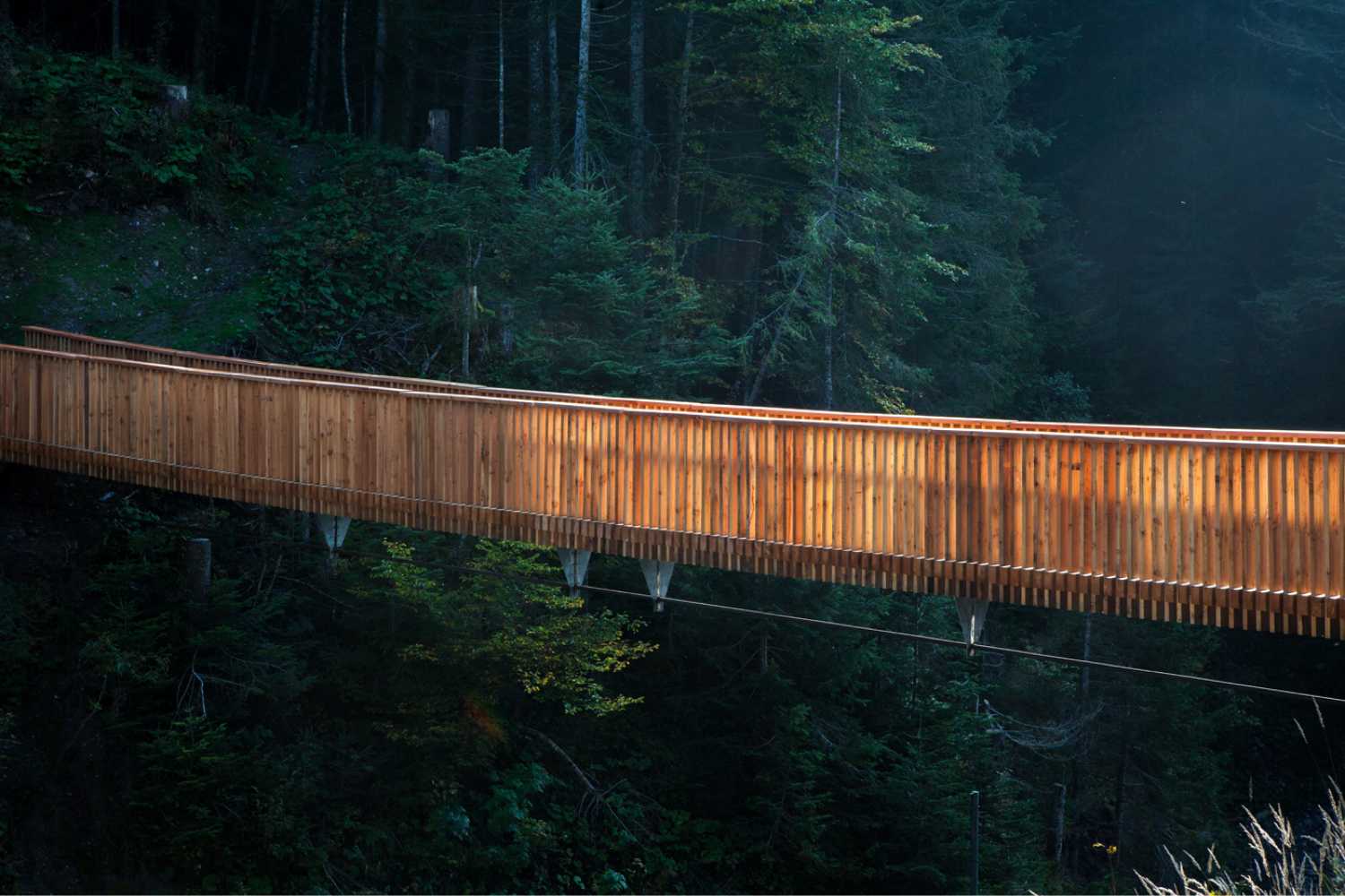 Passerelle de la Joux-verte